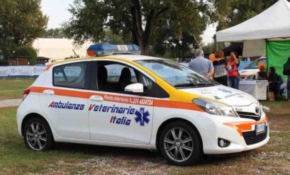 I mezzi di soccorso dell'associazione Ambulanze Veterinarie Italia