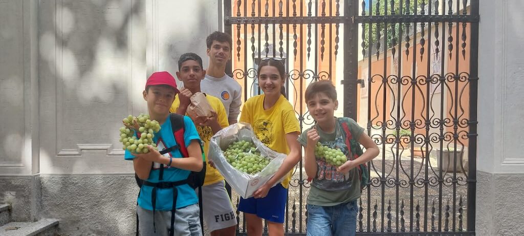 La raccolta dell'uva apirena dei ragazzi dell'Oratorio Don Bosco di Savona