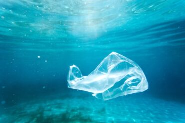 Entro il 2050 la plastica supererà la quantità di pesci in mare
